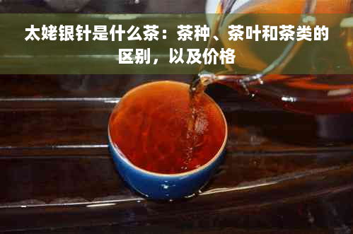 太姥银针是什么茶：茶种、茶叶和茶类的区别，以及价格