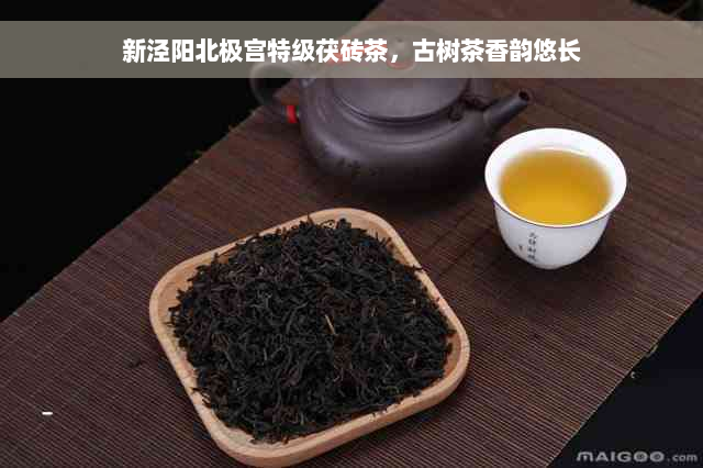 新泾阳北极宫特级茯砖茶，古树茶香韵悠长