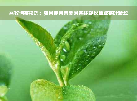 高效泡茶技巧：如何使用带滤网茶杯轻松萃取茶叶精华