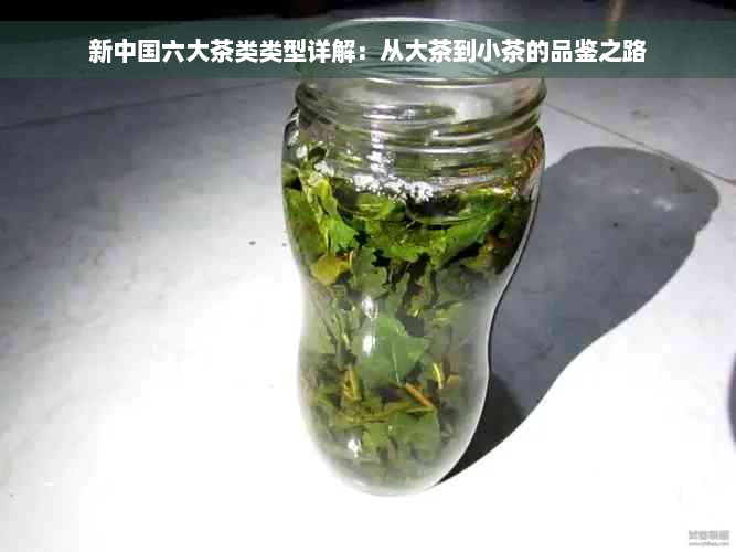 新中国六大茶类类型详解：从大茶到小茶的品鉴之路