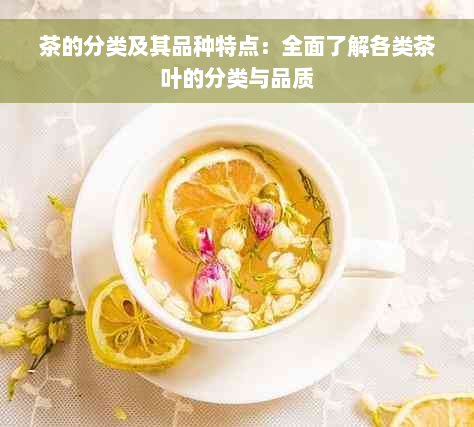 茶的分类及其品种特点：全面了解各类茶叶的分类与品质