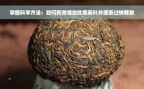 掌握科学方法：如何有效泡出优质茶叶并缓茶过快释放