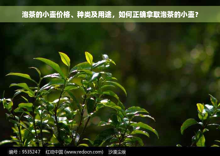 泡茶的小壶价格、种类及用途，如何正确拿取泡茶的小壶？