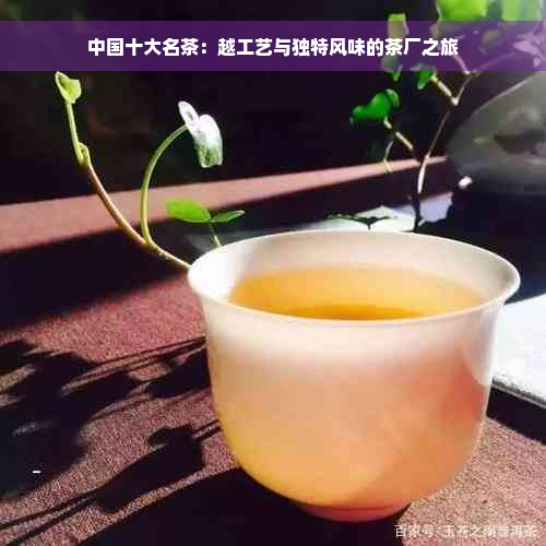 中国十大名茶：越工艺与独特风味的茶厂之旅