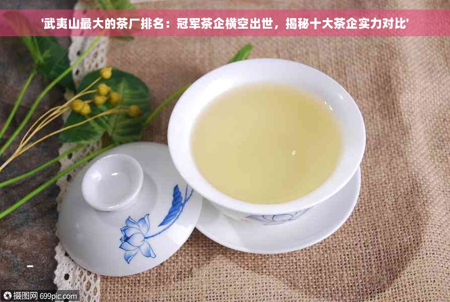 '武夷山更大的茶厂排名：冠军茶企横空出世，揭秘十大茶企实力对比'