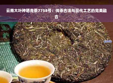 云南大叶种晒青茶7758号：传承古法与现代工艺的完美融合