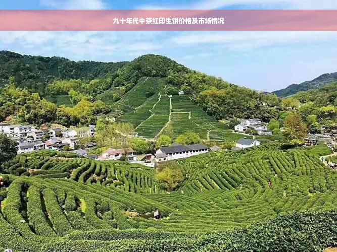 九十年代中茶红印生饼价格及市场情况