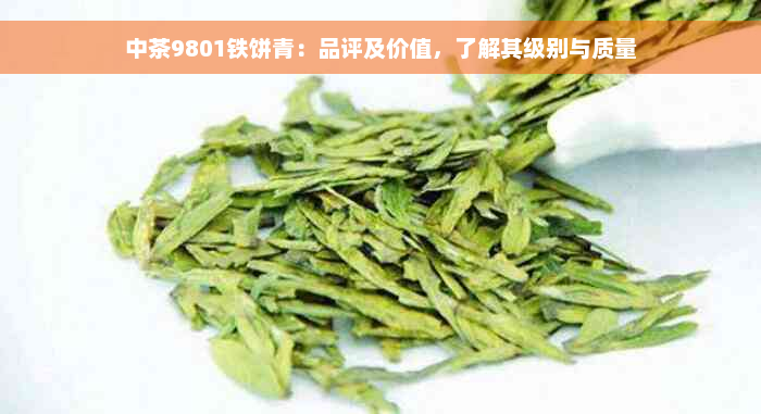 中茶9801铁饼青：品评及价值，了解其级别与质量