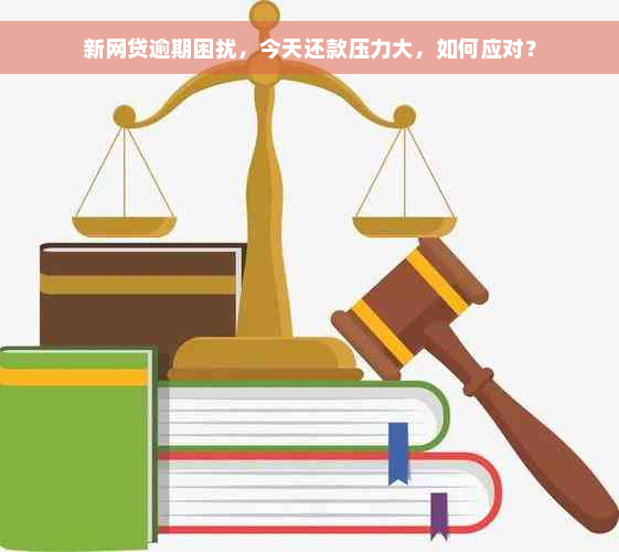 新网贷逾期困扰，今天还款压力大，如何应对？