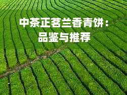 中茶正茗兰香青饼：品鉴与推荐