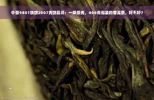 中茶9801铁饼2007青饼品评：一级茶青，400克包装的普洱茶，好不好？