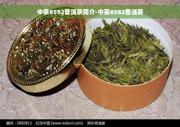 中茶8592普洱茶简介-中茶8582普洱茶