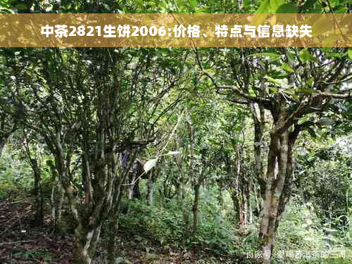 中茶2821生饼2006:价格、特点与信息缺失