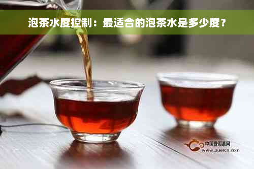 泡茶水度控制：最适合的泡茶水是多少度？