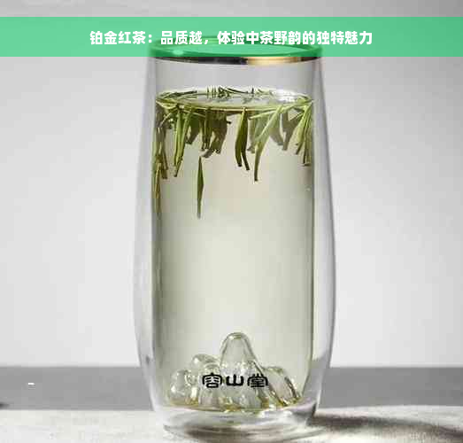 铂金红茶：品质越，体验中茶野韵的独特魅力