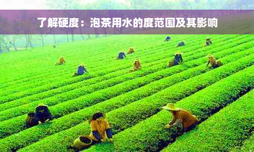 了解硬度：泡茶用水的度范围及其影响