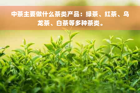 中茶主要做什么茶类产品：绿茶、红茶、乌龙茶、白茶等多种茶类。