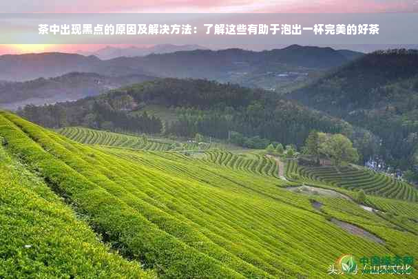 茶中出现黑点的原因及解决方法：了解这些有助于泡出一杯完美的好茶