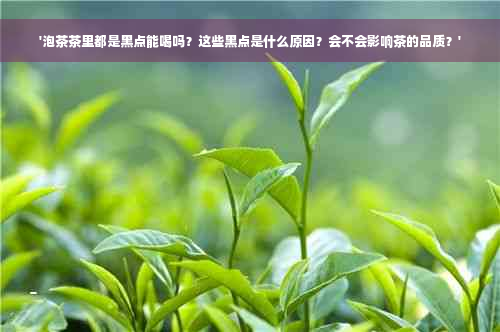 '泡茶茶里都是黑点能喝吗？这些黑点是什么原因？会不会影响茶的品质？'