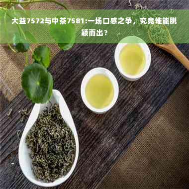 大益7572与中茶7581:一场口感之争，究竟谁能脱颖而出？