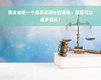 民贷逾期一个月后还款计划调整：是否可以逐步偿还？