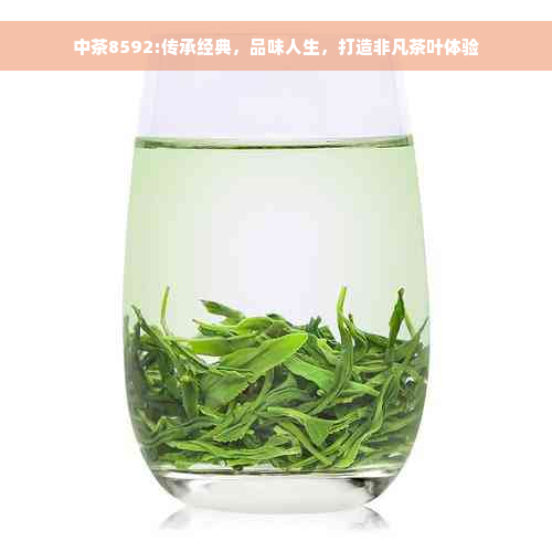 中茶8592:传承经典，品味人生，打造非凡茶叶体验