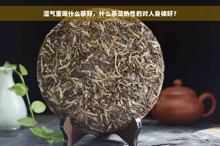 湿气重喝什么茶好，什么茶是热性的对人身体好？