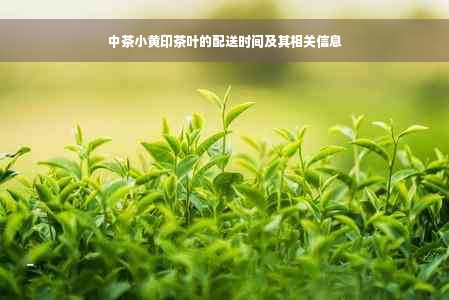 中茶小黄印茶叶的配送时间及其相关信息