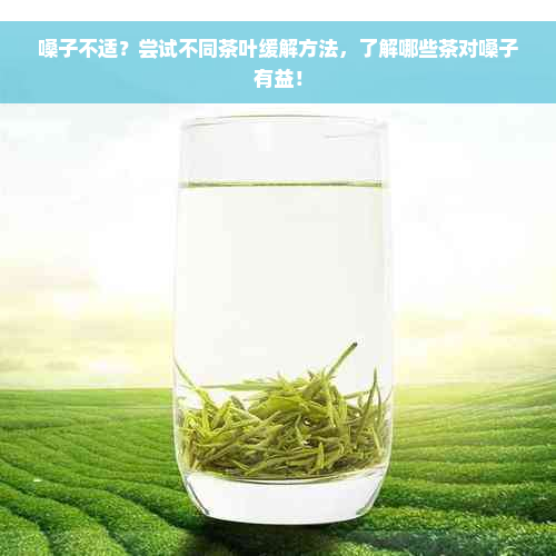 嗓子不适？尝试不同茶叶缓解方法，了解哪些茶对嗓子有益！