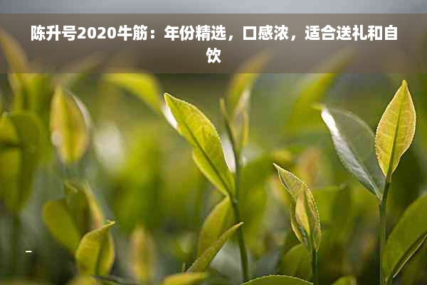 陈升号2020牛筋：年份精选，口感浓，适合送礼和自饮