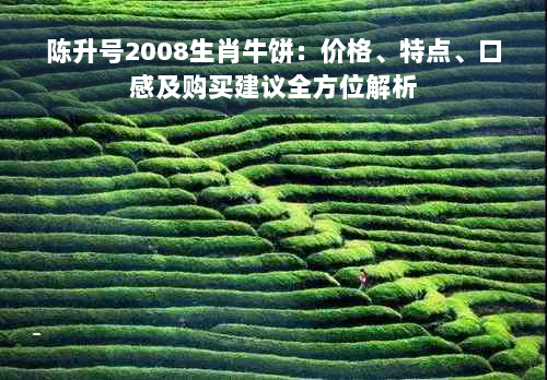 陈升号2008生肖牛饼：价格、特点、口感及购买建议全方位解析