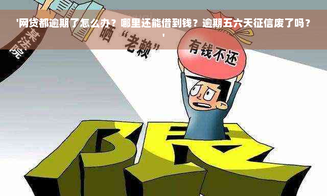 '网贷都逾期了怎么办？哪里还能借到钱？逾期五六天征信废了吗？'