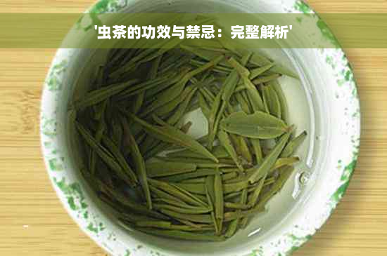 '虫茶的功效与禁忌：完整解析'