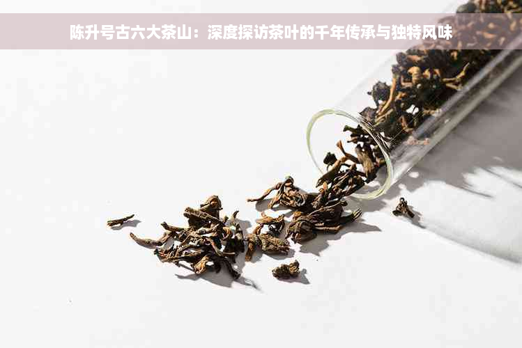 陈升号古六大茶山：深度探访茶叶的千年传承与独特风味