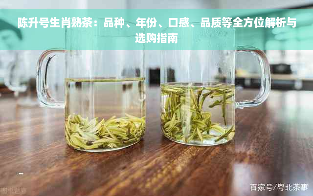 陈升号生肖熟茶：品种、年份、口感、品质等全方位解析与选购指南