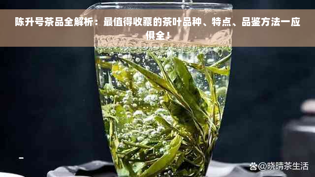 陈升号茶品全解析：最值得收藏的茶叶品种、特点、品鉴方法一应俱全！