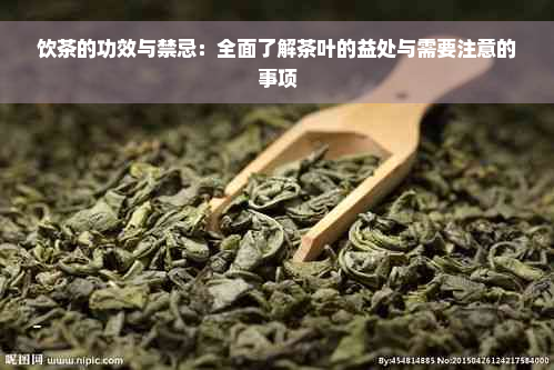 饮茶的功效与禁忌：全面了解茶叶的益处与需要注意的事项