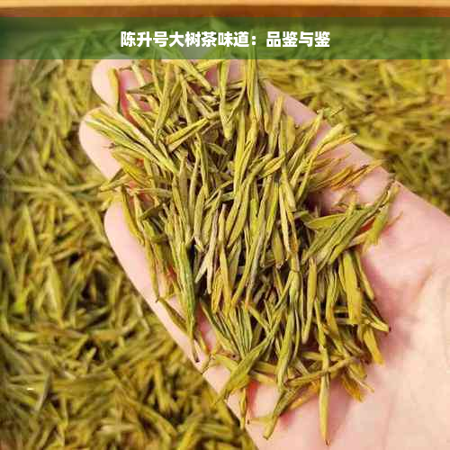 陈升号大树茶味道：品鉴与鉴