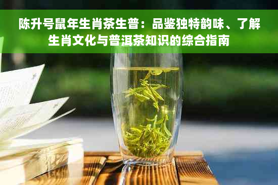 陈升号鼠年生肖茶生普：品鉴独特韵味、了解生肖文化与普洱茶知识的综合指南