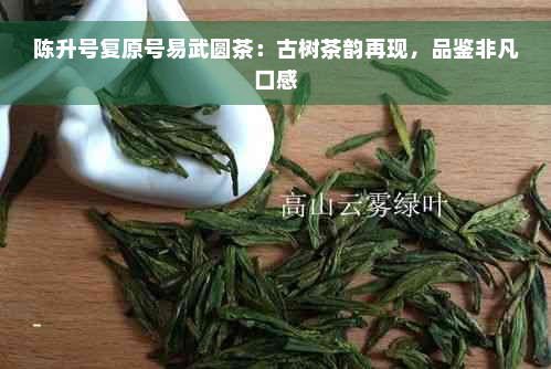 陈升号复原号易武圆茶：古树茶韵再现，品鉴非凡口感