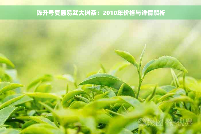 陈升号复原易武大树茶：2010年价格与详情解析