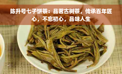 陈升号七子饼茶：品茗古树茶，传承百年匠心，不忘初心，品味人生