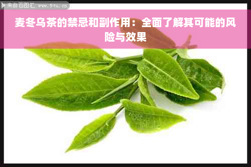 麦冬乌茶的禁忌和副作用：全面了解其可能的风险与效果