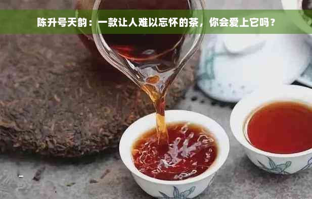 陈升号天韵：一款让人难以忘怀的茶，你会爱上它吗？