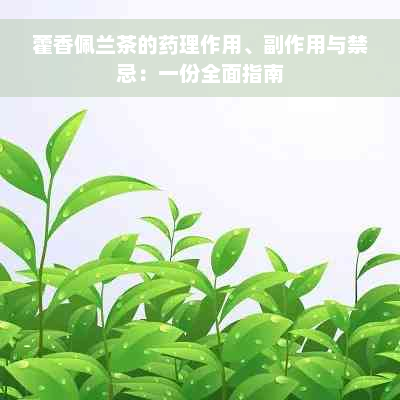 藿香佩兰茶的药理作用、副作用与禁忌：一份全面指南