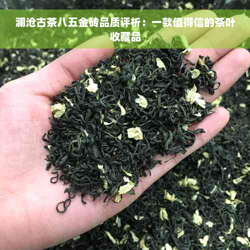 澜沧古茶八五金砖品质评析：一款值得信的茶叶收藏品