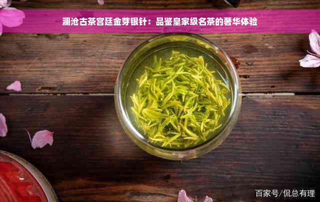 澜沧古茶宫廷金芽银针：品鉴皇家级名茶的奢华体验