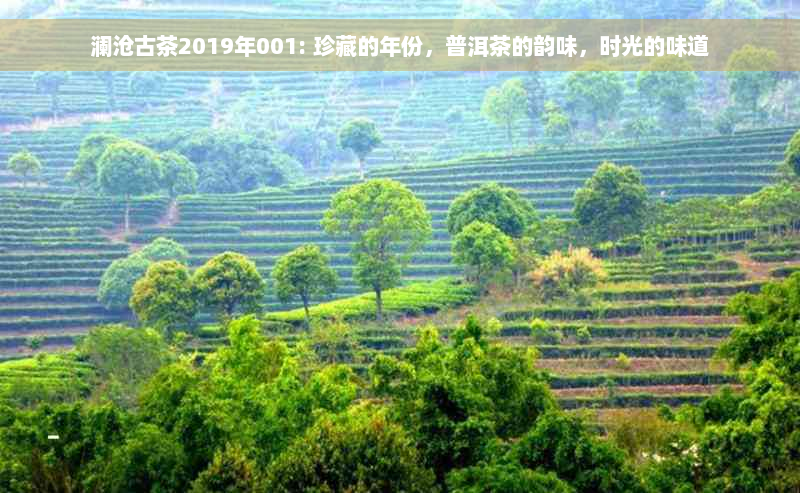 澜沧古茶2019年001: 珍藏的年份，普洱茶的韵味，时光的味道