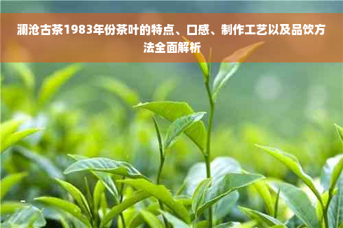 澜沧古茶1983年份茶叶的特点、口感、制作工艺以及品饮方法全面解析