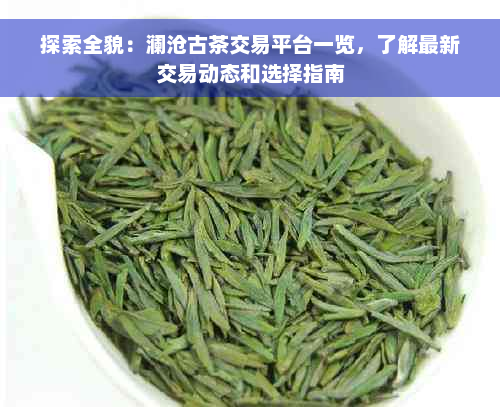 探索全貌：澜沧古茶交易平台一览，了解最新交易动态和选择指南